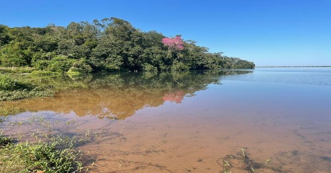 Localizada no município de Altônia e situada dentro do Parque Nacional de Ilha Grande a Lagoa Xambrê é a maior lagoa de água doce marginal do estado do Paraná e a segunda maior do Brasil.